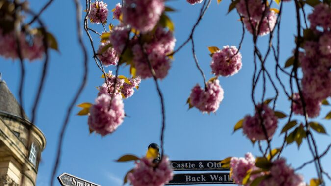 signpost in stirling uk