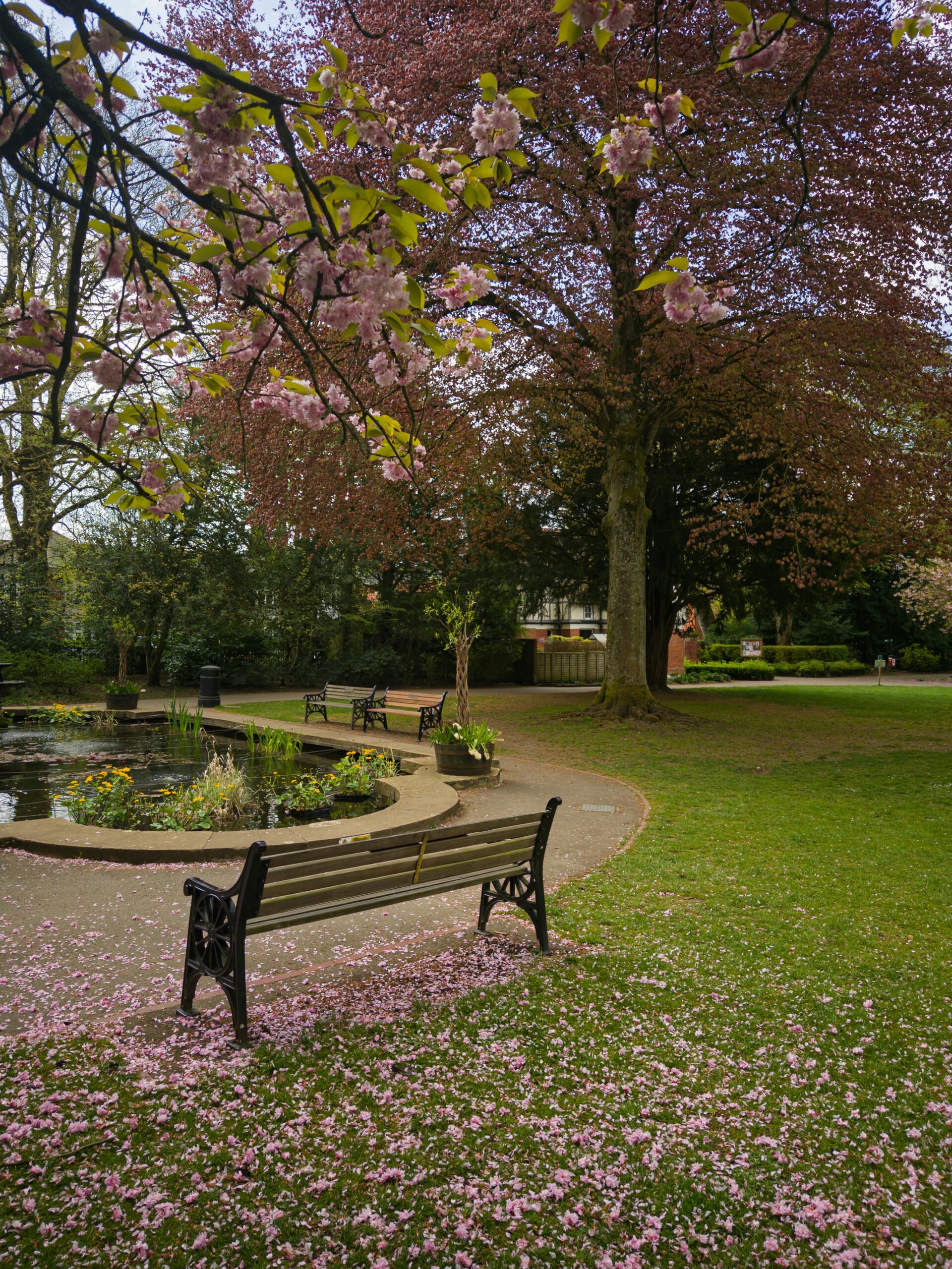 swindon