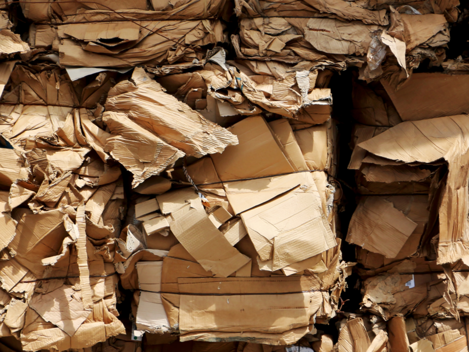 cardboard waste collection