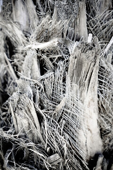 asbestos waste removal