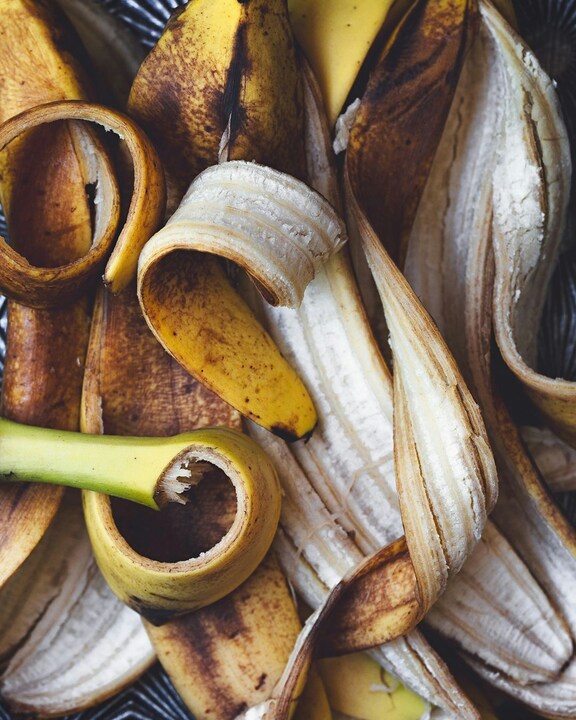 food waste collection