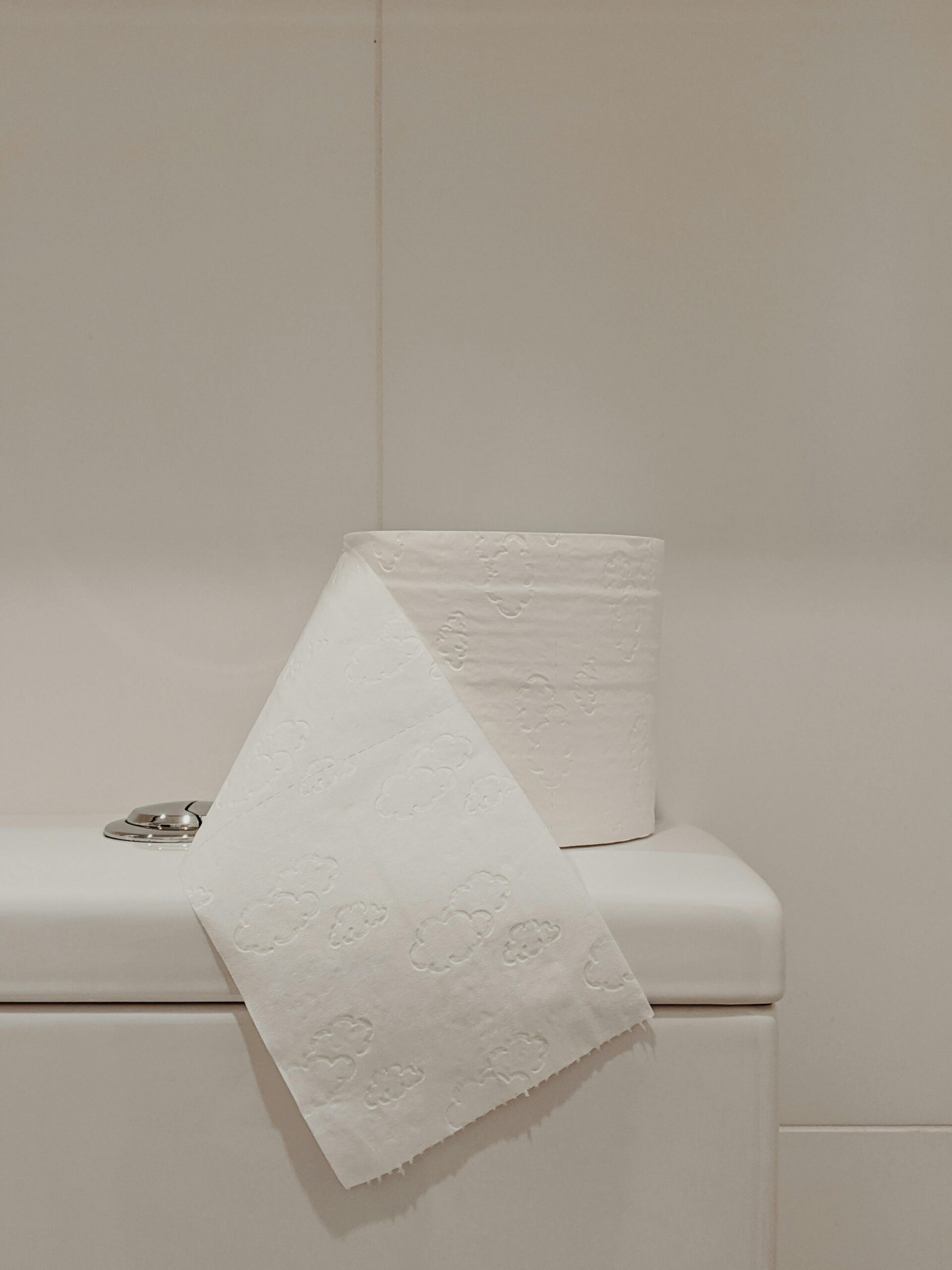 toilet roll