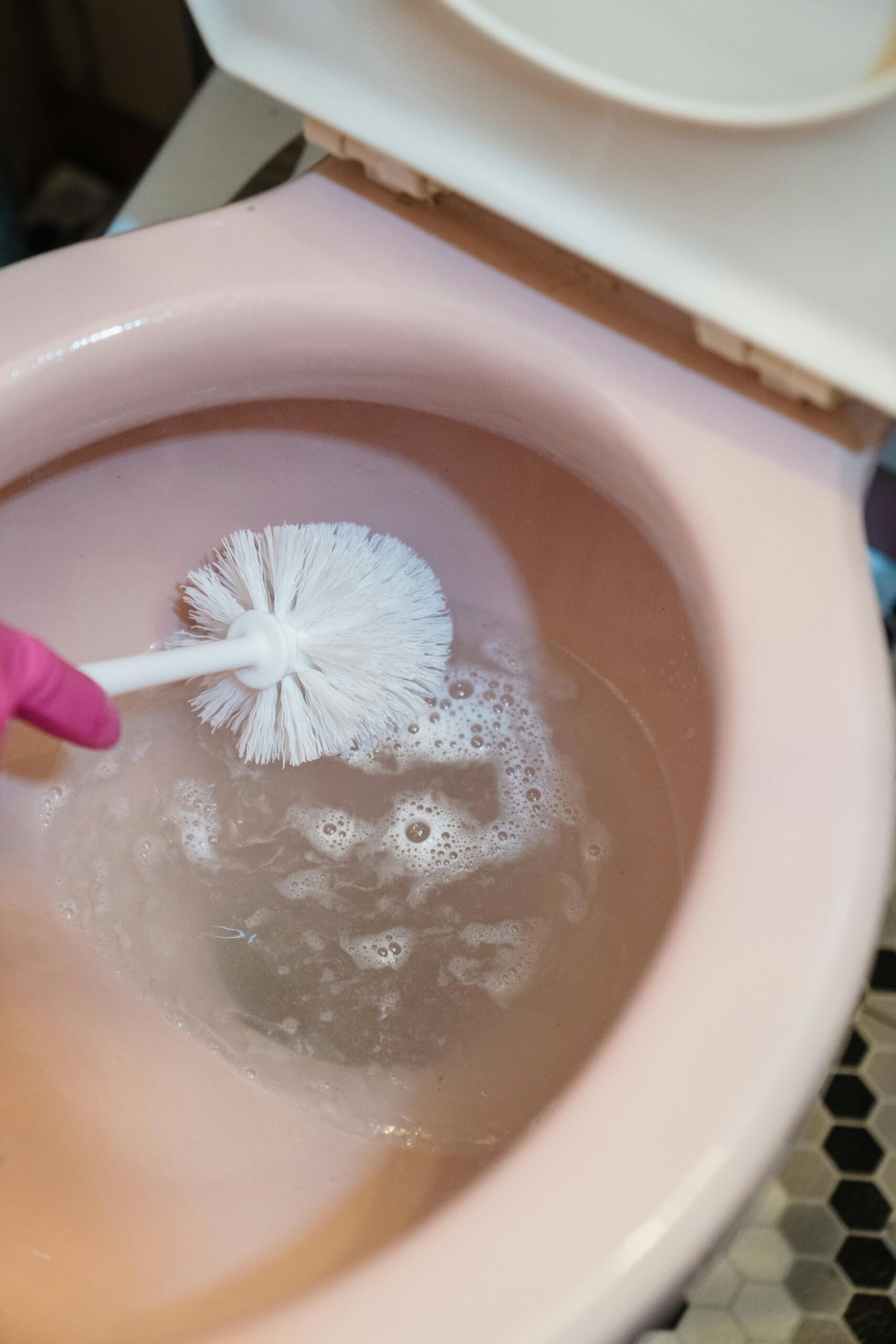 toilet cleaning