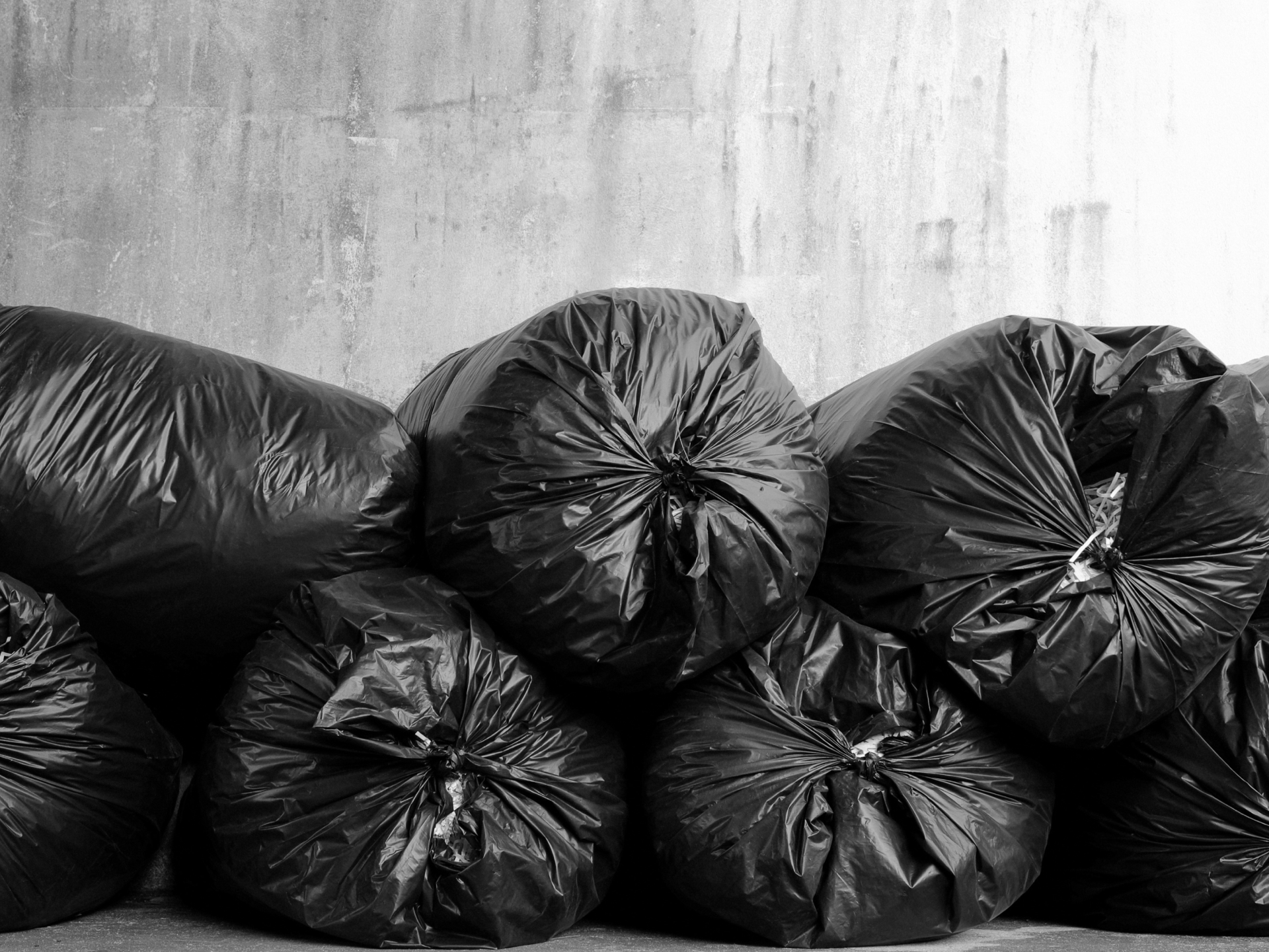 waste bags