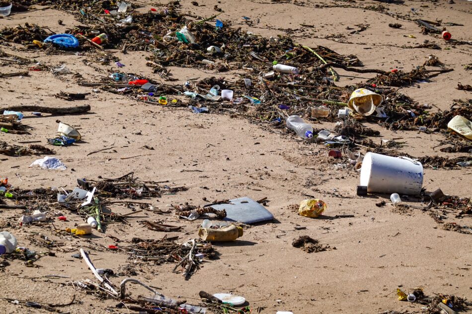 waste on a beach